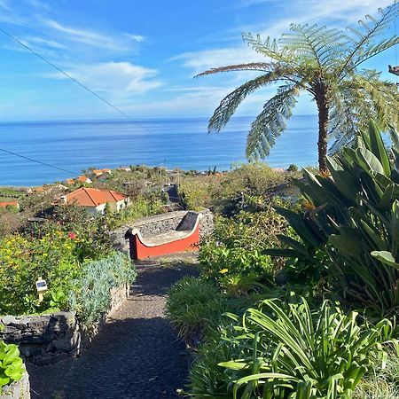 Quinta Das Hortensias Arco de São Jorge エクステリア 写真