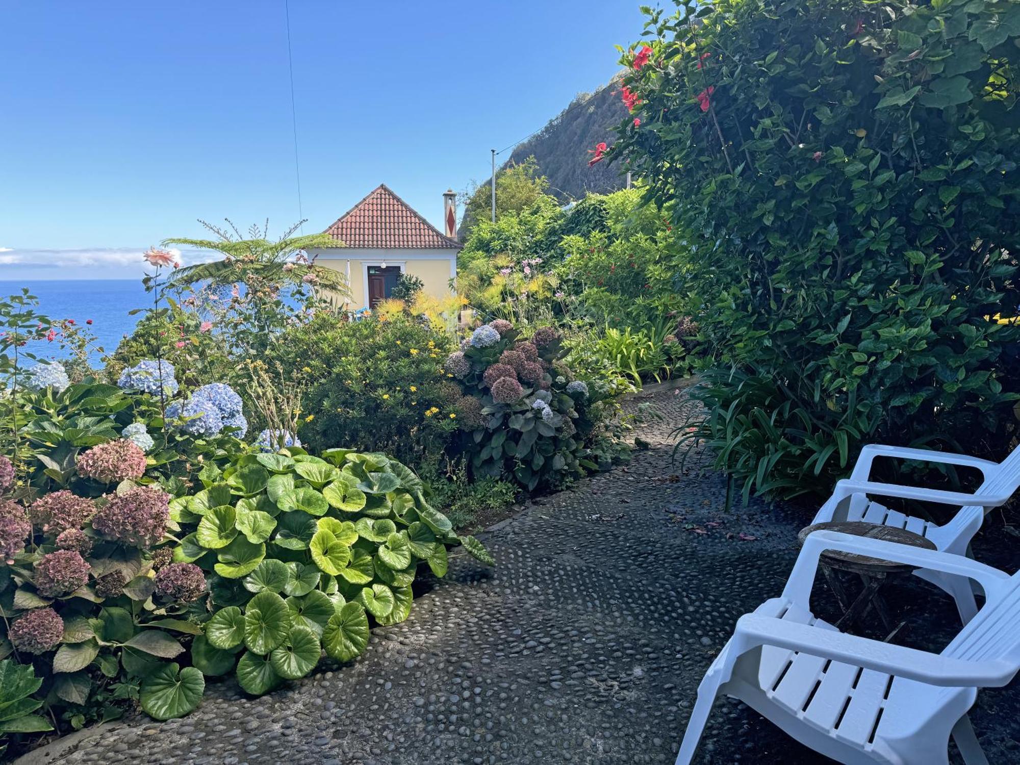 Quinta Das Hortensias Arco de São Jorge エクステリア 写真