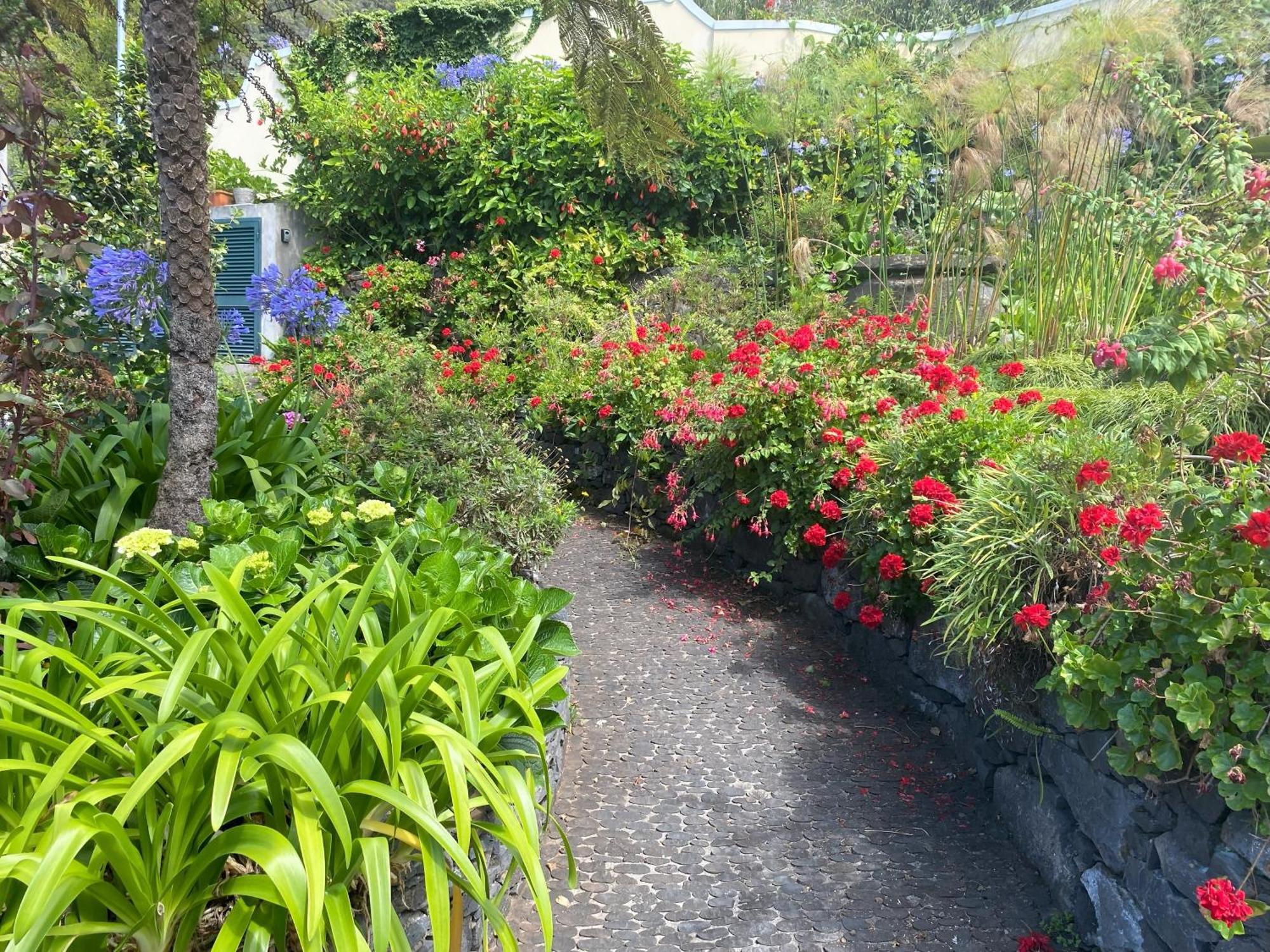 Quinta Das Hortensias Arco de São Jorge エクステリア 写真